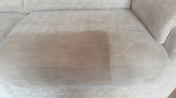 Sofa cleaning in Exeter