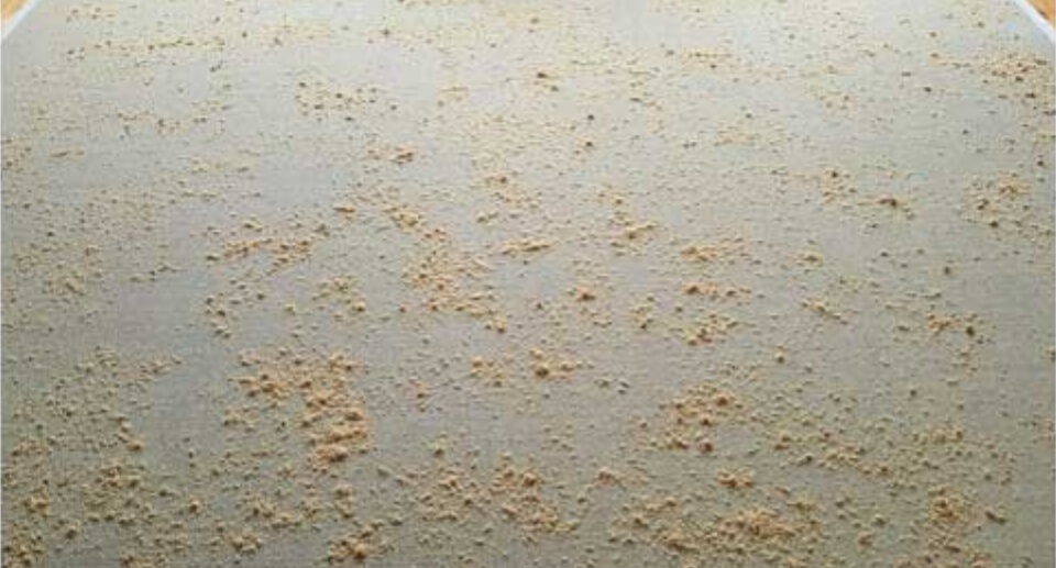 Dry carpet cleaning